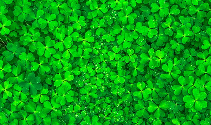 How to set your Out Of Office for Paddy’s Day (in Irish, of course)